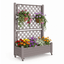Rolling Raised Garden Bed with Trellis