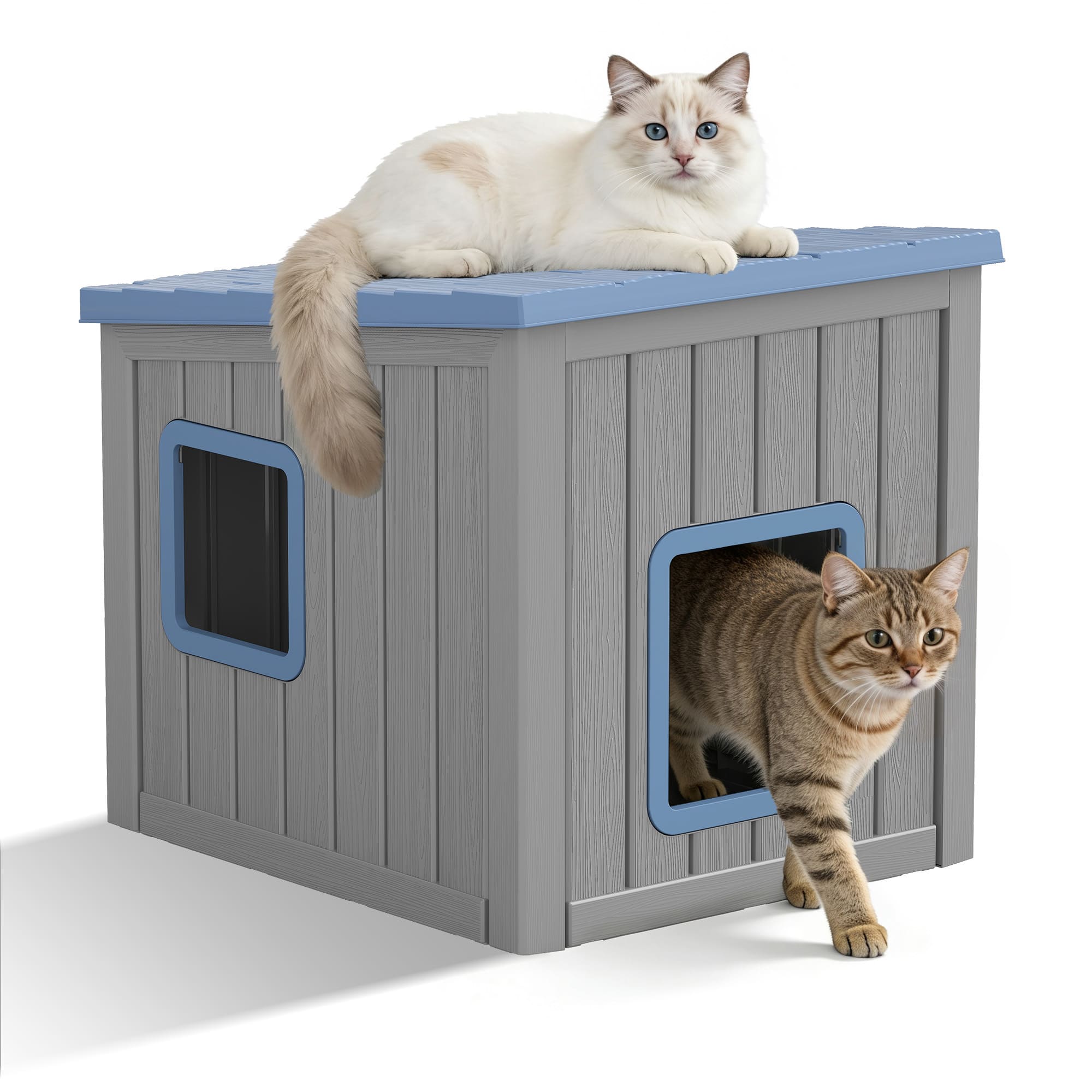 Cat House with Dual Doors Gray with Black/Blue Top Main image