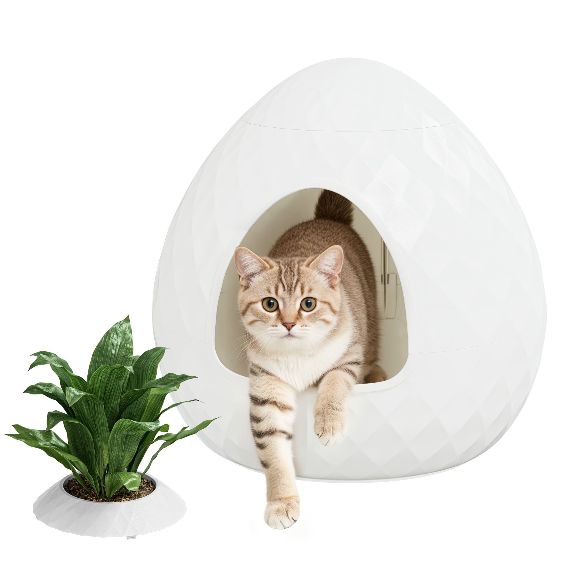 White Egg Shaped Cat Litter Box with Two Replaceable Lids