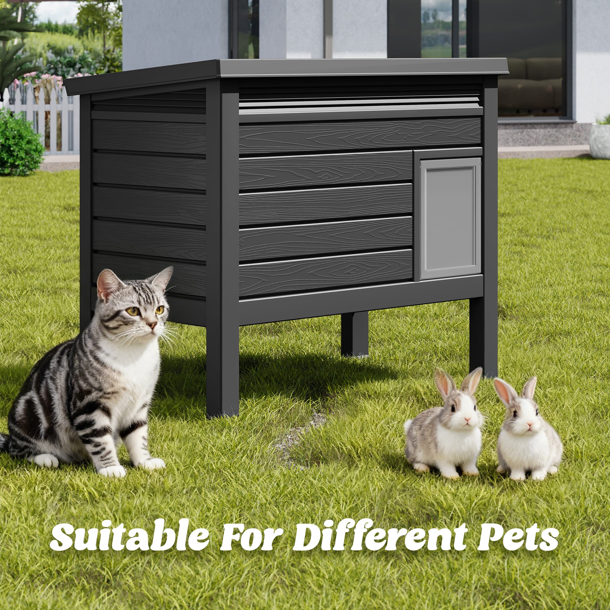 Elevated Cat House