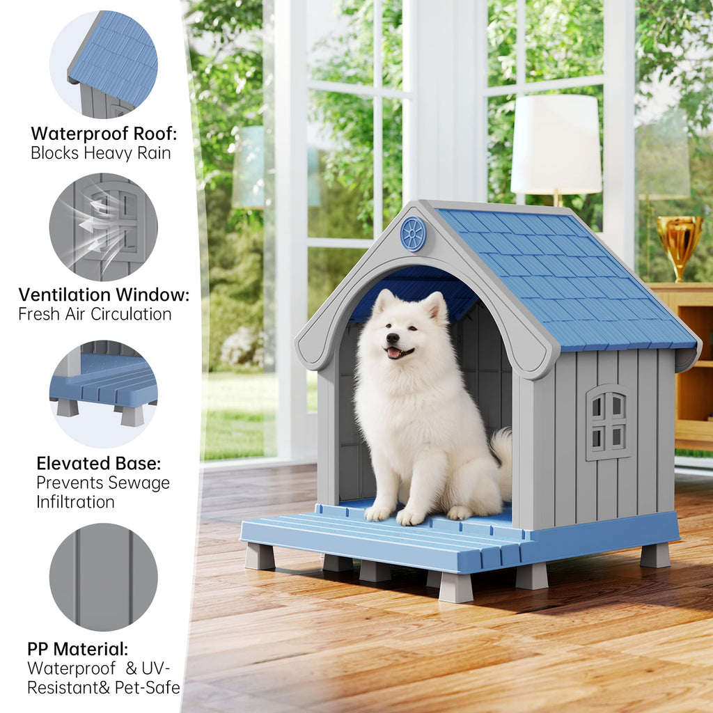 Dog House for Medium Dogs