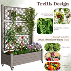 Raised Planting Bed with Trellis/No Trellis