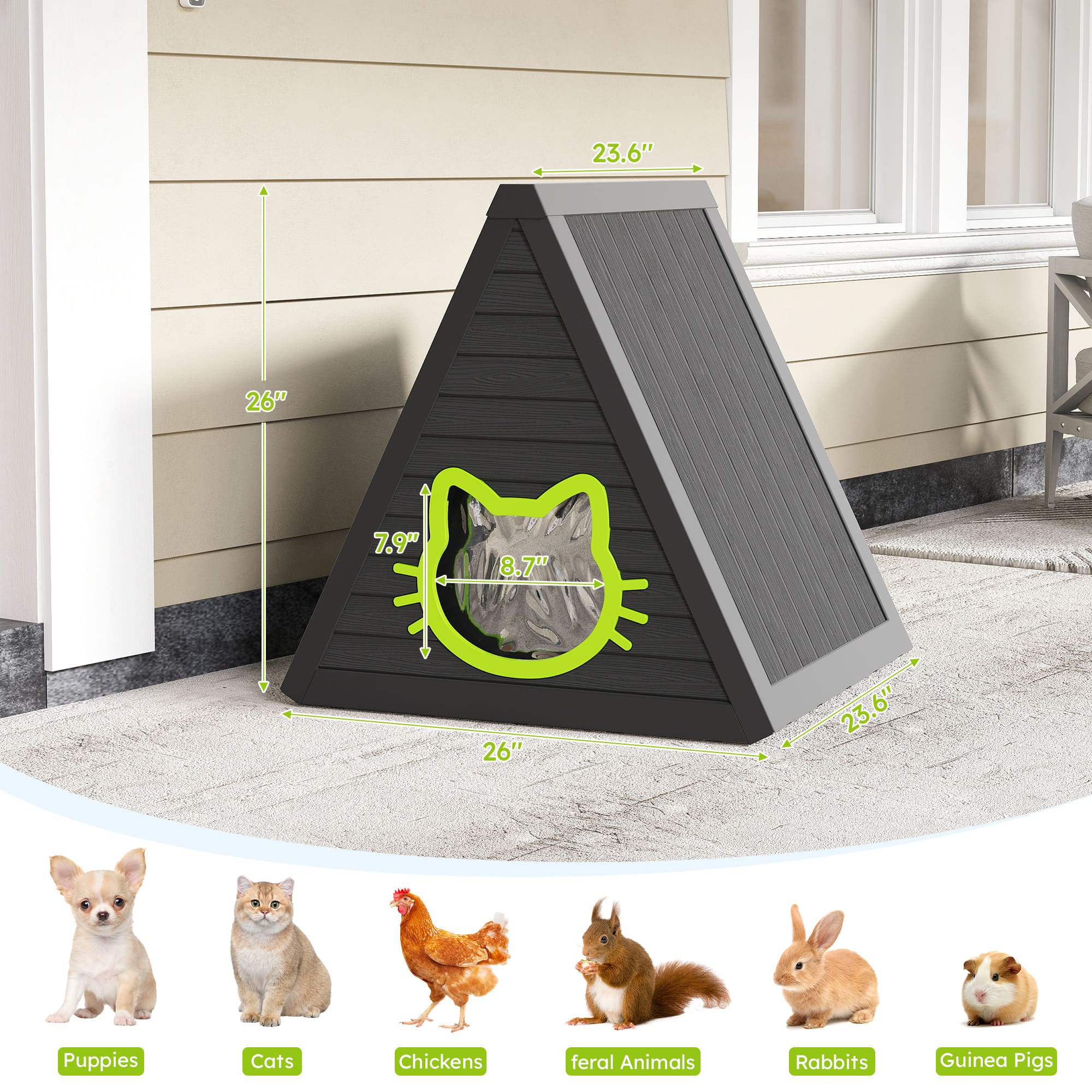 Triangle Cat House with Transparent Door