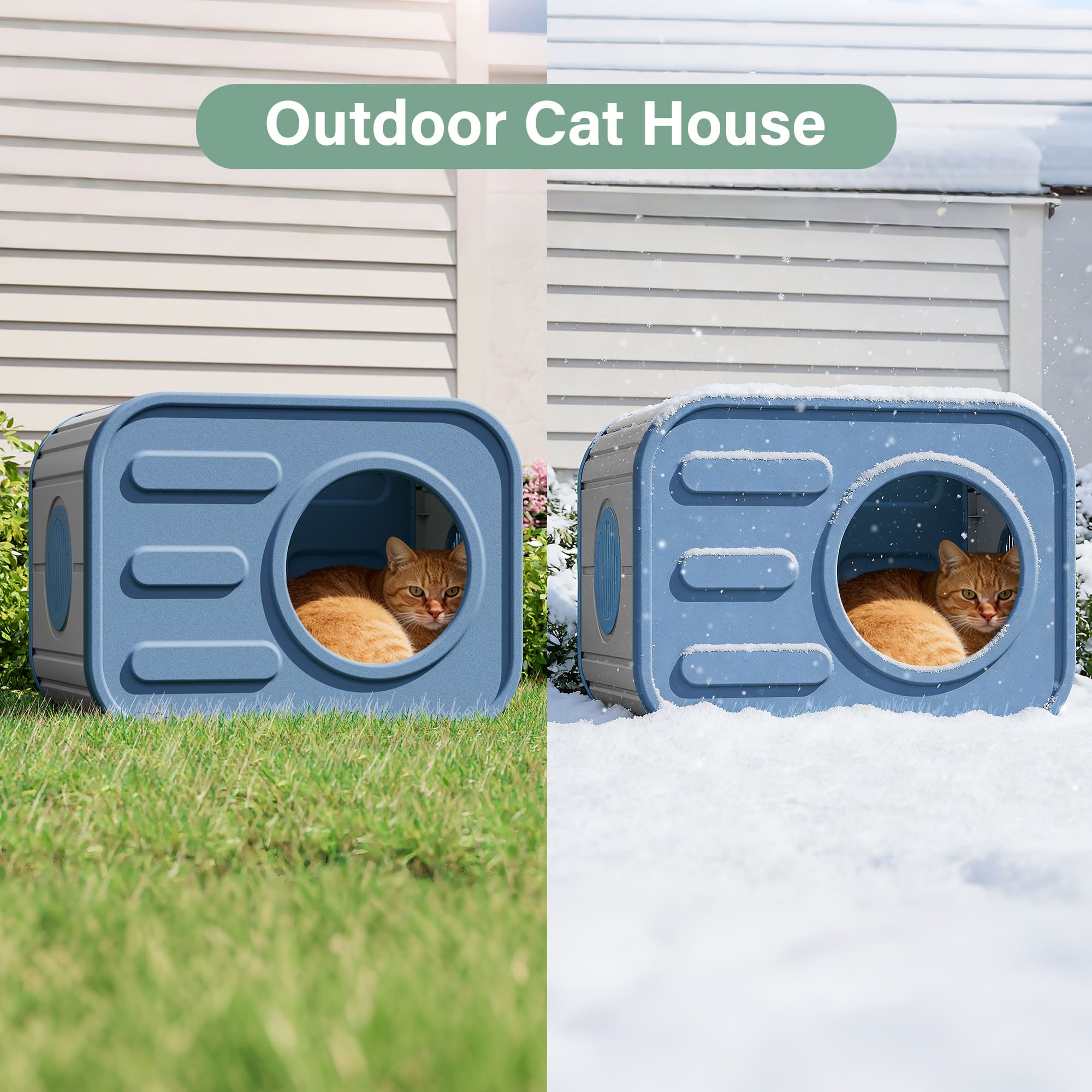 Curved Cat House